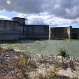 Camminiamo per vari minuti e alla fine della spiaggia incrociamo la �diga del Basentello�. Certo, � solo grazie alla sua presenza che esiste il lago, ma � impossibile non notare il contrasto fra quel �mostro� di cemento e metallo dall�aspetto cos� grigio e sinistro e la vegetazione colorata e lussureggiante